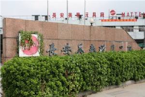 祝贺我司成功为长安美泰玩具提供废气设备！