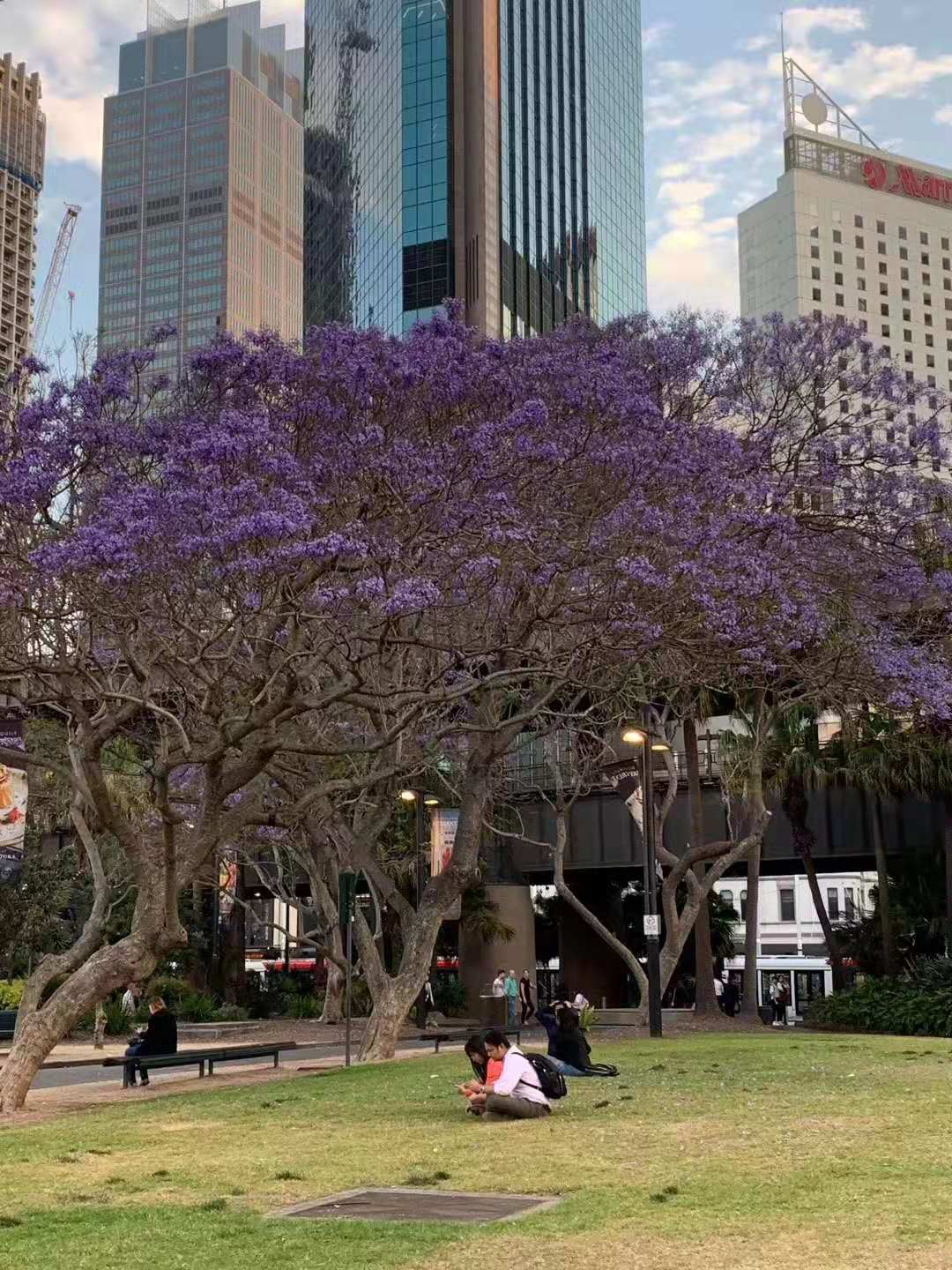 港澳台官网90566